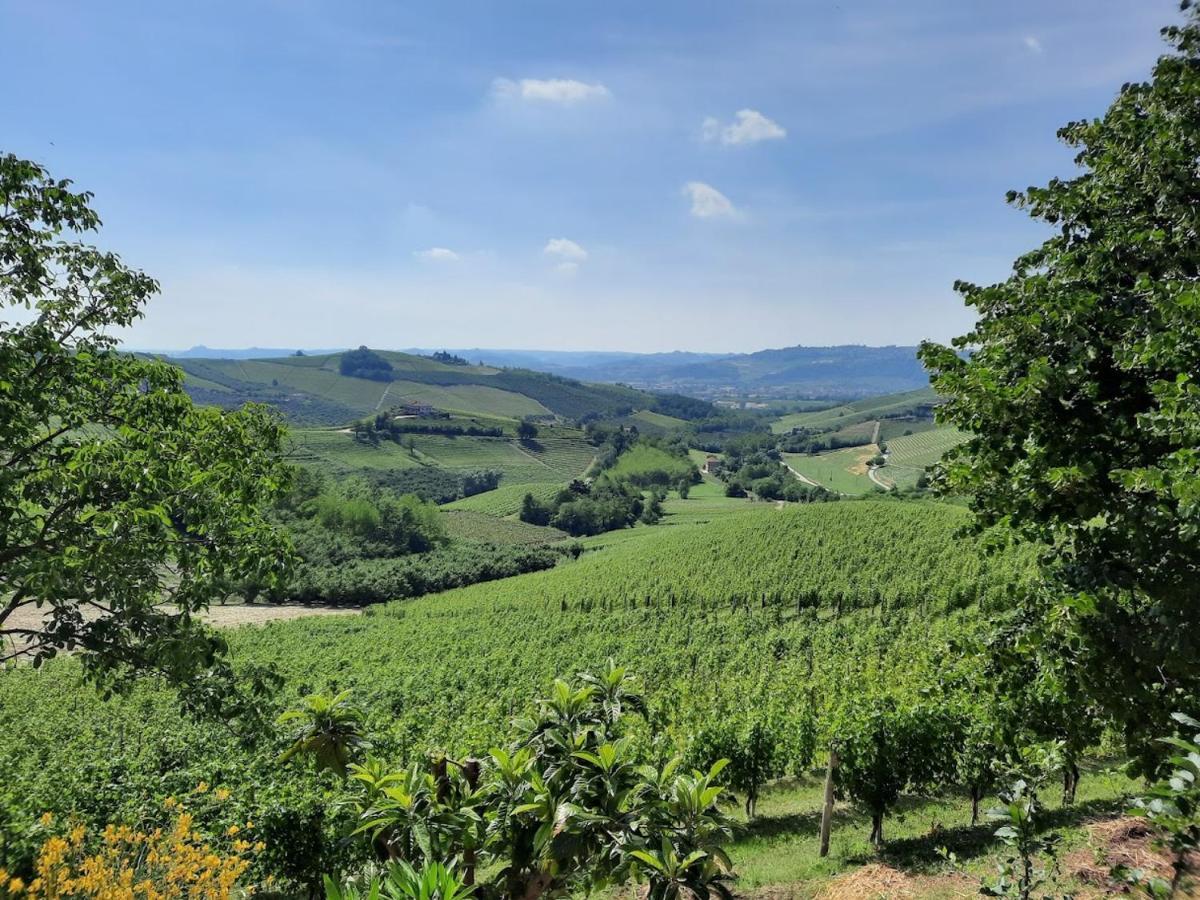 Ca Trifolera Barbaresco - Romantico Cascinale Con Antica Cantina Nel Cuore Delle Langhe - Degustazione Vini Nella Nostra Cantina Eksteriør billede
