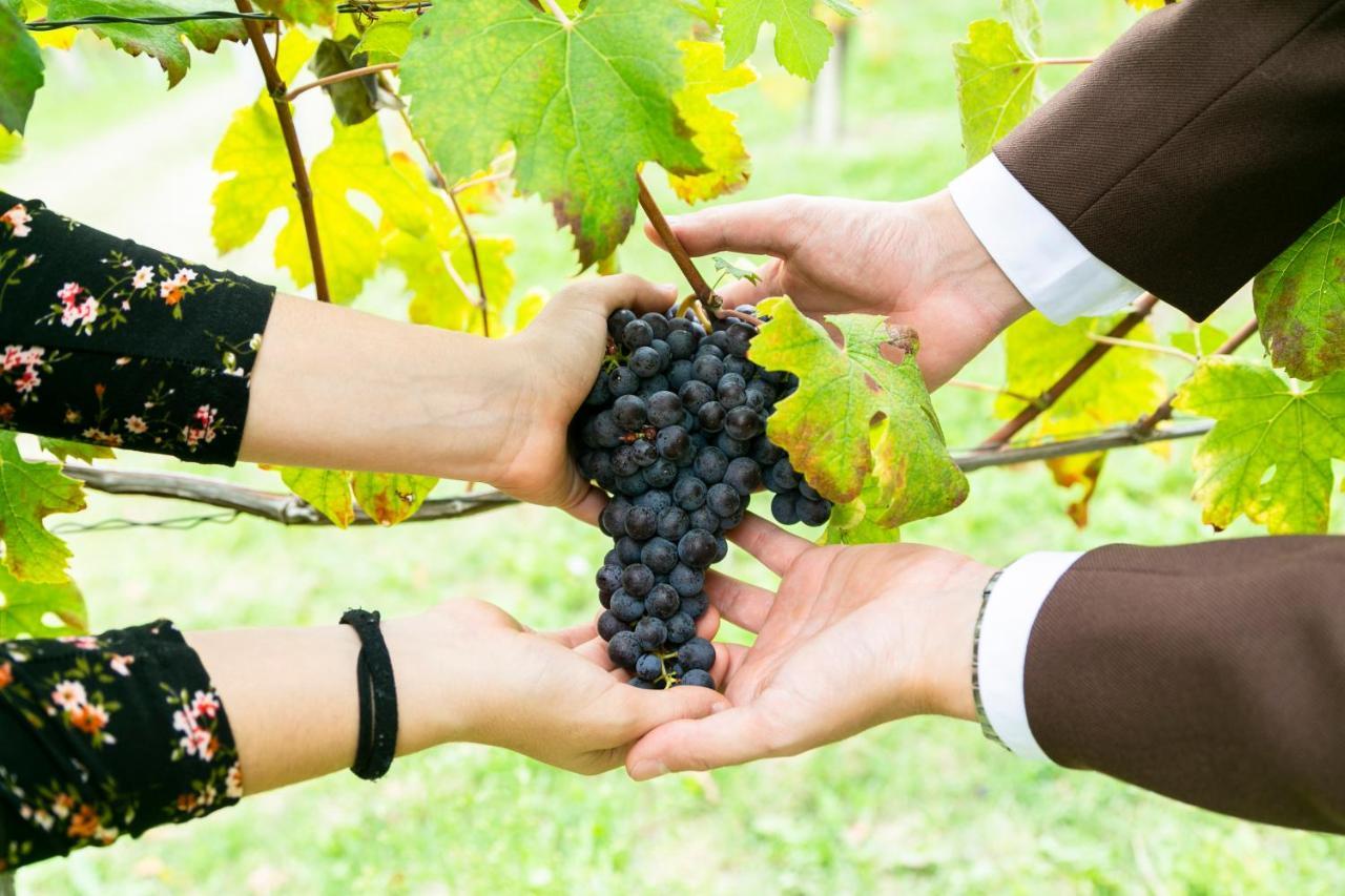 Ca Trifolera Barbaresco - Romantico Cascinale Con Antica Cantina Nel Cuore Delle Langhe - Degustazione Vini Nella Nostra Cantina Eksteriør billede