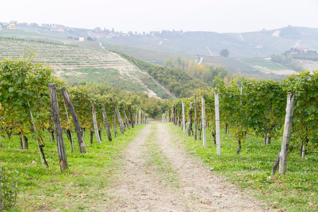 Ca Trifolera Barbaresco - Romantico Cascinale Con Antica Cantina Nel Cuore Delle Langhe - Degustazione Vini Nella Nostra Cantina Eksteriør billede