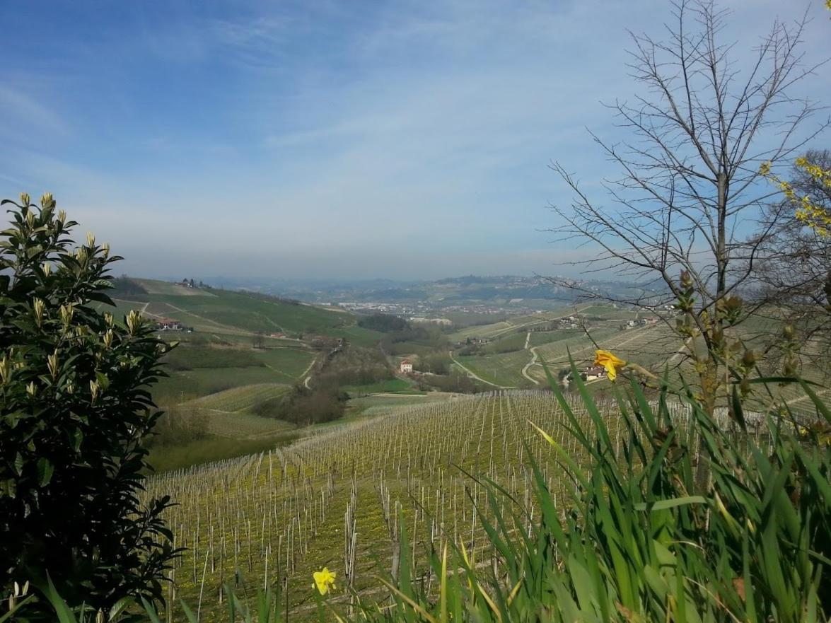 Ca Trifolera Barbaresco - Romantico Cascinale Con Antica Cantina Nel Cuore Delle Langhe - Degustazione Vini Nella Nostra Cantina Eksteriør billede