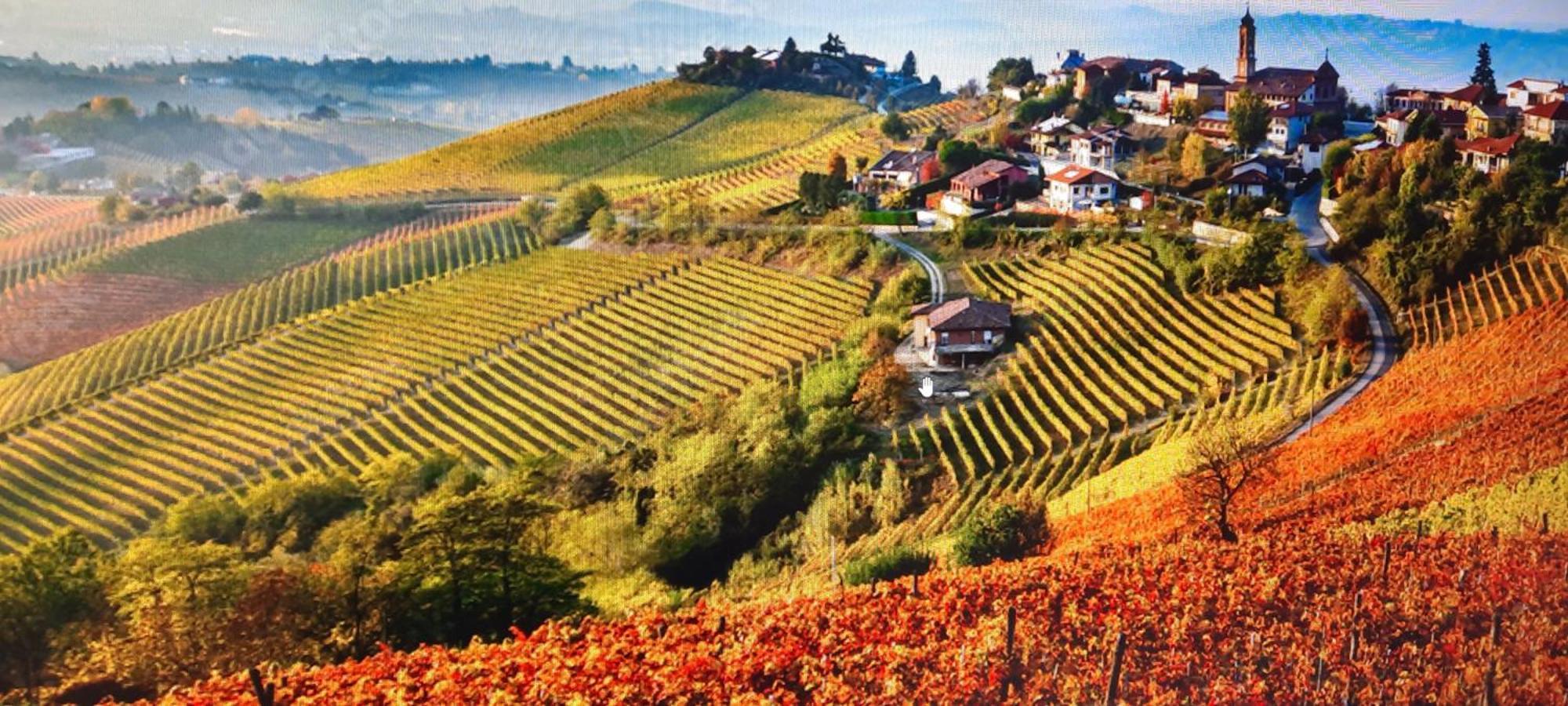 Ca Trifolera Barbaresco - Romantico Cascinale Con Antica Cantina Nel Cuore Delle Langhe - Degustazione Vini Nella Nostra Cantina Eksteriør billede