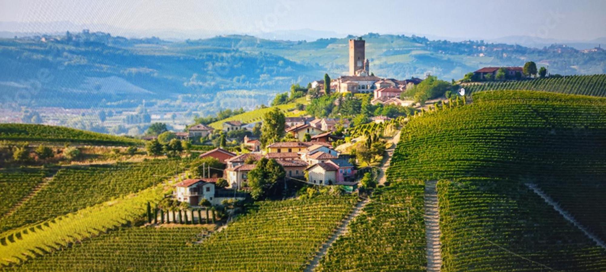 Ca Trifolera Barbaresco - Romantico Cascinale Con Antica Cantina Nel Cuore Delle Langhe - Degustazione Vini Nella Nostra Cantina Eksteriør billede
