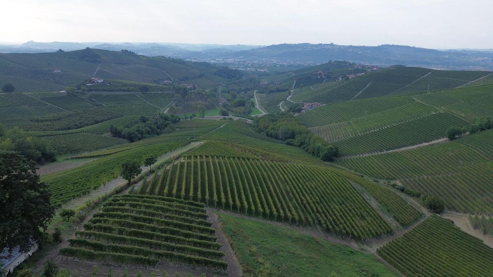 Ca Trifolera Barbaresco - Romantico Cascinale Con Antica Cantina Nel Cuore Delle Langhe - Degustazione Vini Nella Nostra Cantina Eksteriør billede