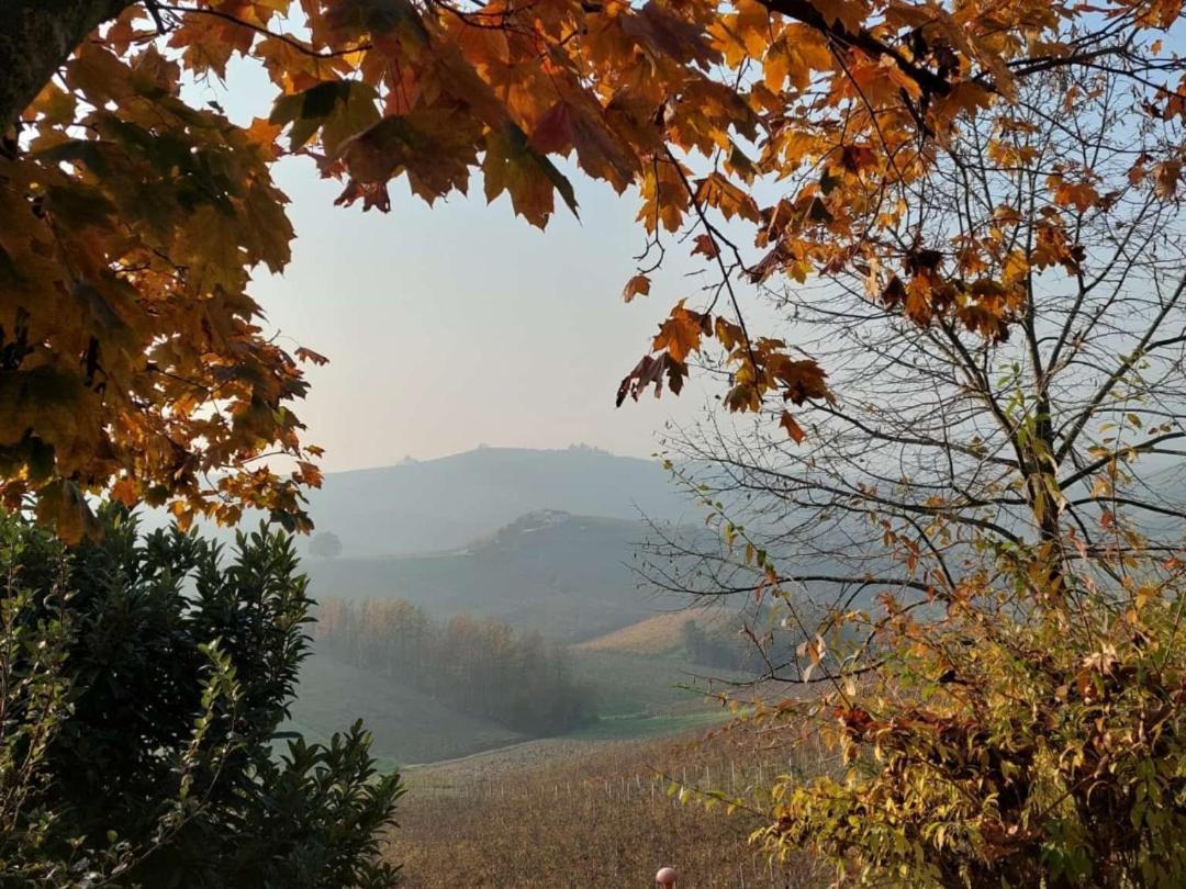 Ca Trifolera Barbaresco - Romantico Cascinale Con Antica Cantina Nel Cuore Delle Langhe - Degustazione Vini Nella Nostra Cantina Eksteriør billede
